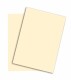 PAPYRUS   Rainbow Papier FSC          A4 - 88043095  hellchamois, 120g    250 Blatt