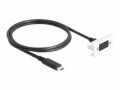 DeLock Easy 45 Modul SuperSpeed USB-C zu USB-C, Kabelpeitsche
