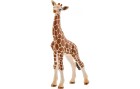 Schleich Spielzeugfigur Wild Life Giraffenbaby, Themenbereich