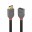 Immagine 1 LINDY 0.5m DP extension cable Anthra