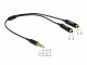 Image 1 DeLock Audio-Kabel Klinke 3.5mm, male - Klinke 3.5mm, female