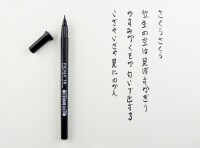 SAKURA Pigma Brush Pen F XFVKFB49 black, Kein Rückgaberecht
