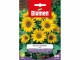 Blumen Saatgut Sonnenblume Bambino, Bio: Nein, Blütenfarbe: Gelb