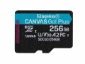 Kingston microSDXC-Karte Canvas Go! Plus 256 GB, Speicherkartentyp