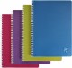 CLAIREFONTAINE CLAIREFON LINICOLOR Heft