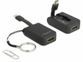 DeLock - Adaptateur vidéo externe - RTD2169U - USB-C - VGA - noir