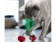 Petstage Katzen-Spielzeug Dental Cherries, Rot, Produkttyp