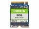 KIOXIA BG5 Series KBG50ZNS1T02 - SSD - 1024 GB