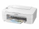 Immagine 6 Canon PIXMA TS3351 - Stampante multifunzione - colore