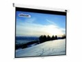 Celexon Rollo-Leinwand Motor Professional 280x158cm 16:9