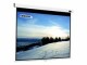 Celexon Rollo-Leinwand Pro 220x124cm 16:9, Leinwandtyp