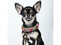 Dog with a mission Halsband Boho Rosa, XXS, 2 cm, Halsumfang: 19
