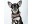 Image 1 Dog with a mission Halsband Boho Rosa, XXS, 2 cm, Halsumfang: 19