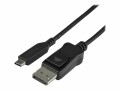 StarTech 3.3 USB-C TO DP ADAPTER CABLE