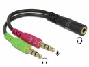 DeLock Audio-Adapter - Stereo Mini-Klinkenstecker (W