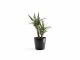 Ecopots Pflanzentopf Venice 30 Dunkelgrau, Volumen: 12.8 l