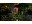 Immagine 3 Nintendo Luigi`s Mansion 2 HD, Für Plattform: Switch, Genre
