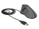 Bild 0 DeLock Ergonomische Maus 12527 USB, Maus-Typ: Ergonomisch, Maus