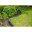 Bild 0 Nature Rasenkanten-Set H15 cm x 10 m mit Erdnägeln Grau