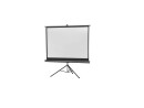 Celexon Economy tripod screen 