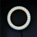 Dörr LED Selfie Ring Light SLR-16 Bi-color - Lampe