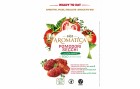Aromatica Tomaten getrocknet 125 g, Produkttyp: Gemüse