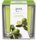 IPURO     Duftkerze           Essentials - 051.1203  lime light                125g