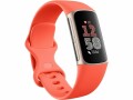Fitbit Activity Tracker Charge 6, Touchscreen: Ja