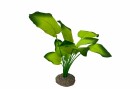 AquaDella Kunstpflanze Anubias 3, 20 cm, Einrichtung: Kunstpflanzen