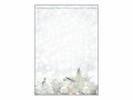 sigel Weihnachts-Motiv-Papier White Stars - A4 (210 x 297