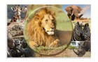 HERMA Schreibunterlage Afrika Tiere 55 x 35 cm, Kalender