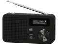 Imperial DAB+ Radio Dabman 13 Schwarz, Radio Tuner: FM