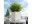 Bild 1 Lechuza Blumentopf Cube Cottage 30 Weiss, Volumen: 12 l