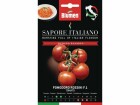 Blumen Saatgut Tomate Rossini F.1