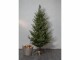 Star Trading Weihnachtsbaum Uppsala 210 x 110 cm, Höhe: 210