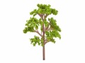 HobbyFun Mini-Figur Baum 11 cm, Detailfarbe: Grün, Braun, Material