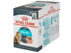 Royal Canin Nassfutter Urinary Care Sosse, 12 x 85 g