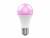 Bild 7 WOOX Leuchtmittel WiFi Smart Bulb RGB+CCT E27, 10W, 2700K-6500K