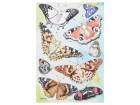 HobbyFun Motivsticker Schmetterling 1