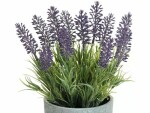 Botanic-Haus Kunstpflanze Lavendel im Topf 22 cm, Produkttyp