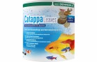 Dennerle Wasserpflege Catappa Leaves, 10 Stück, Produkttyp