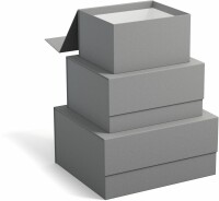 BIGSO BOX OF SWEDEN Aufbewahrungsbox Ilse 345354133 grau 3er-Set, Aktuell