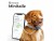 Bild 6 Invoxia GPS- und Gesundheitstracker Dog MiniTailz, schwarz