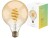 Bild 4 hombli Leuchtmittel Smart Filament Bulb, E27, 5.5 W, Amber