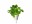 Immagine 4 Click and Grow Saatgut Wasabi-Senf 3er-Pack, Bio: Nein, Aussaatzeit