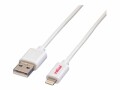 Roline - Lightning-Kabel - Lightning männlich zu USB