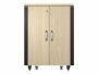 APC Netzwerkschrank NetShelter CX AR4017IA Soundproof 17HE