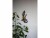 Bild 2 Star Trading Gartenlicht Solar Gecko, Schwarz, Betriebsart