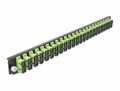 DeLock Verteilerplatte Frontblende 24 Port SC Duplex OM5 MM