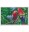 Bild 2 Ravensburger Malen nach Zahlen CreArt: Colorful Macaws